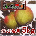 �ڤ�ͽ�������ۤʤ��ʤ꼡�轪λ�������̾���kg���κ����������