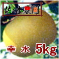 �ڤ�ͽ�������ۤʤ��ʤ꼡�轪λ�����塡5kg���κ����������