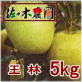 �ڤ�ͽ�������ۤʤ��ʤ꼡�轪λ�����ӡ���kg���κ����������