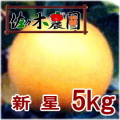 �ڤ�ͽ�������ۤʤ��ʤ꼡�轪λ��������5kg���κ����������