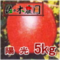 �ڤ�ͽ�������ۤʤ��ʤ꼡�轪λ���۸�����kg���κ����������