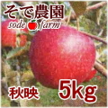 �ڤ�ͽ�������ۤʤ��ʤ꼡�轪λ�������ǡ���kg���Τ��������