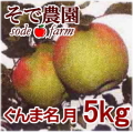 �ڤ�ͽ�������ۤʤ��ʤ꼡�轪λ���������̾���kg���Τ��������
