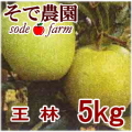 �ڤ�ͽ�������ۤʤ��ʤ꼡�轪λ�������ӡ���kg���Τ��������