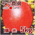 �ڤ�ͽ�������ۤʤ��ʤ꼡�轪λ�����۸�����kg���Τ��������