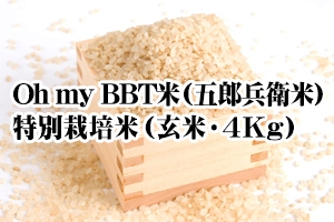 【2026年度新米】Oh my BBT米（五郎兵衛米）・特別栽培米（玄米・4Kg）