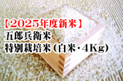【予約受付中】五郎兵衛米・特別栽培米（白米・4Kg）※10月上旬以降の発送となります。