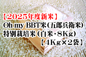 【予約受付中】Oh my BBT米（五郎兵衛米）・特別栽培米（白米・8Kg【4ｋ袋×2】）※10月上旬以降の発送となります。