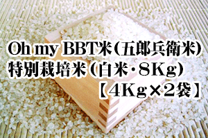 【2026年度新米】Oh my BBT米（五郎兵衛米）・特別栽培米（白米・8Kg【4ｋ袋×2】）