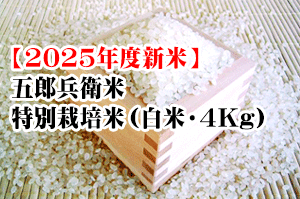 【予約受付中】五郎兵衛米・特別栽培米（白米・4Kg）※10月上旬以降の発送となります。