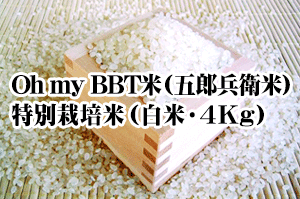 【2026年度新米】Oh my BBT米（五郎兵衛米）・特別栽培米（白米・4Kg）