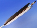 m019
