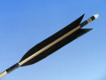 d290