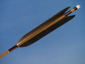 d391