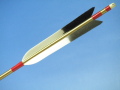 d555.jpg