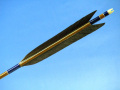 d598