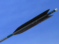 d679.jpg