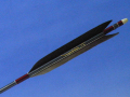 d680.jpg