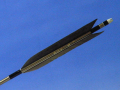 d687.jpg