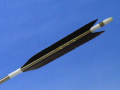 d689.jpg