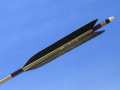 d690.jpg