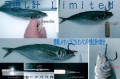 ���̤��ˡ��ɥ롡�������롼���ʥ��쥿��Х���դ���