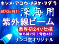 �����ѡ��糰���ӡ���֥�å��饤�ȣ����֡�����Ʋ���ꥸ�ʥ롡