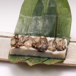 牡蠣寿司タイトル用