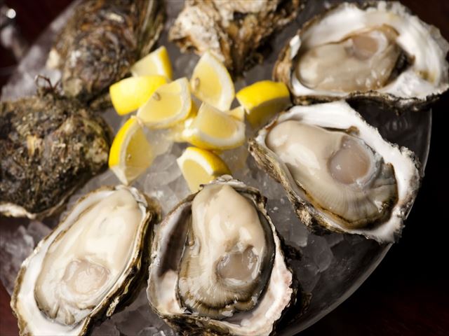 プロトン冷凍殻付生食用牡蠣 ２５個セット （牡蠣剥きナイフ付き）