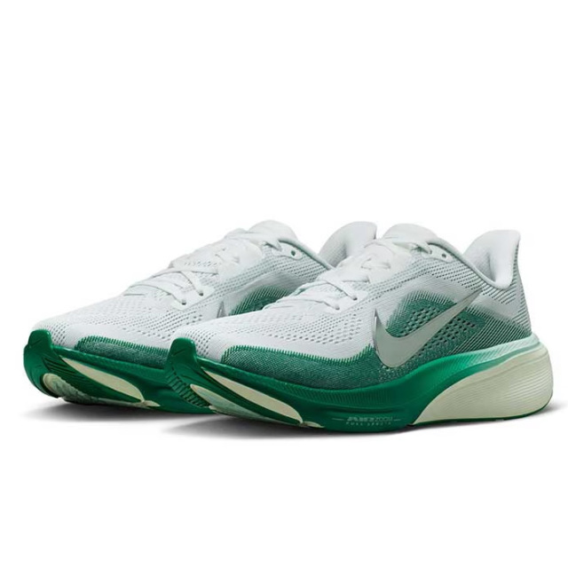 ナイキ ウィメンズ ペガサス 42 IB1881-100