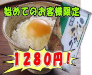 �����ҥ���2kg�ʽ������