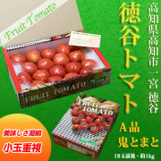 高知・徳谷フルーツトマト約1kg(A品・鬼トマト・18玉前後)【送料無料】