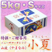生産者厳選!土佐小夏(高知県産)・山波(やまなみ)・特撰ご贈答用・大箱(5kg)・Sサイズ
