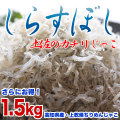 ���餹���������ں������꡿�崳�����󤸤㤳�ˡ����θ�����1.5kg������̵����