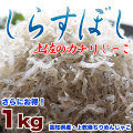 ���餹���������ں������꡿�崳�����󤸤㤳�ˡ����θ�����1kg