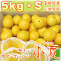 �ں�����5kg S������
