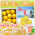 �ں����ơʹ��θ����˲����ѷ�£���ѡ���Ȣ����2.8��3kg�ˡ�M������������̵����