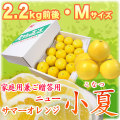 �ں����ơʹ��θ����˲����ѷ�£���ѡ���Ȣ����2.2kg�ˡ�M������