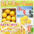 �ں����ơʹ��θ����˲����ѷ�£���ѡ���Ȣ����2.8��3kg�ˡ�L������������̵����