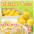 �ں����ơʹ��θ����˲����ѷ�£���ѡ���Ȣ����2.2kg�ˡ�L������