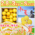 �ں����ơʹ��θ����˲����ѷ�£���ѡ���Ȣ����2.8��3kg�ˡ�S������������̵����