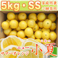 土佐小夏(とさこなつ)・高知県産・家庭用兼ご贈答用・大箱(約5kg)・SSサイズ