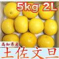 �ں�ʸö��������2L������5kg