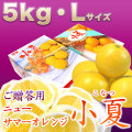 �ں����ơʤȤ����ʤġˡ����θ�������£���ѡ���Ȣ����5kg�ˡ�L������������̵����