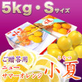 �ں����ơʤȤ����ʤġˡ����θ�������£���ѡ���Ȣ����5kg�ˡ�S������������̵����