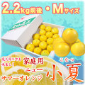 �ں����ơʹ��θ����˲����ѡ���Ȣ����2.2kg�ˡ�M������