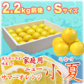 �ں����ơʹ��θ����˲����ѡ���Ȣ����2.2kg�ˡ�S������