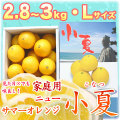 �ں����ơʹ��θ����˲����ѡ���Ȣ����2.8��3kg�ˡ�L������������̵����