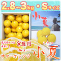 �ں����ơʹ��θ����˲����ѡ���Ȣ����2.8��3kg�ˡ�S������������̵����