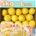 �ں����ơʹ��θ����˲����ѡ���Ȣ����5kg�ˡ�L������������̵����